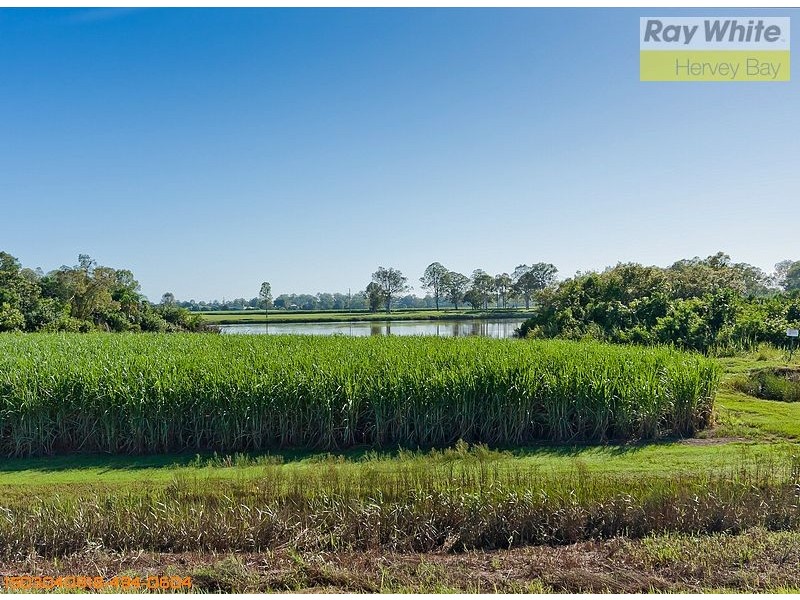 Tinana QLD 4650