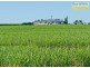 Tinana QLD 4650