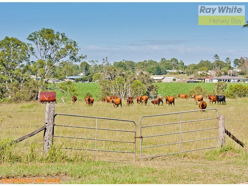 Tinana QLD 4650