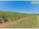 Tinana QLD 4650