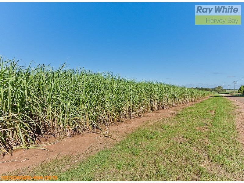 Tinana QLD 4650