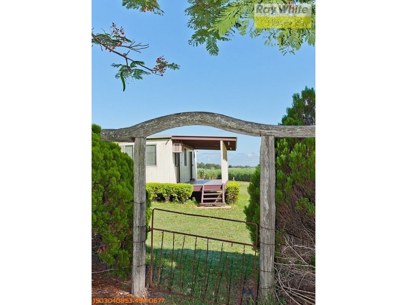 Tinana QLD 4650