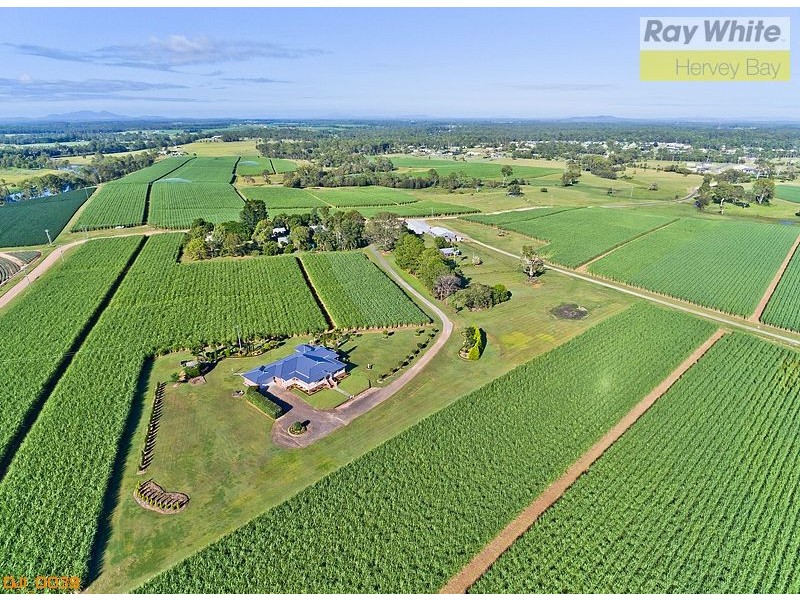 Tinana QLD 4650