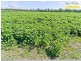 140 Noble Road, Susan River QLD 4655