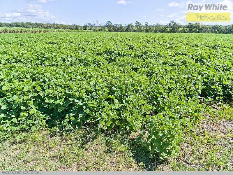 140 Noble Road, Susan River QLD 4655