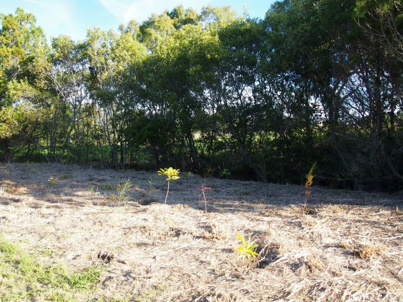 667 Charlton Esplanade, Urangan QLD 4655