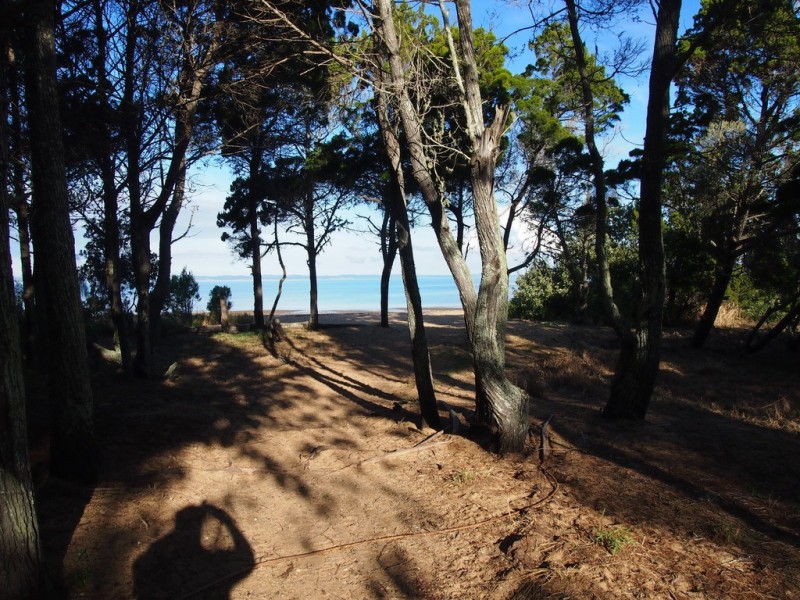 667 Charlton Esplanade, Urangan QLD 4655