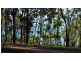 42 Esplanade, Point Vernon QLD 4655