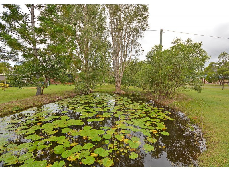 25 Senorita Parade, Urangan QLD 4655