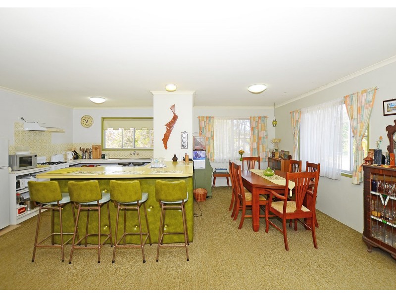 16 Totness Street, Torquay QLD 4655