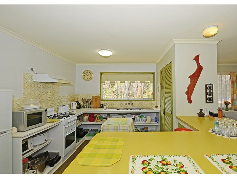 16 Totness Street, Torquay QLD 4655