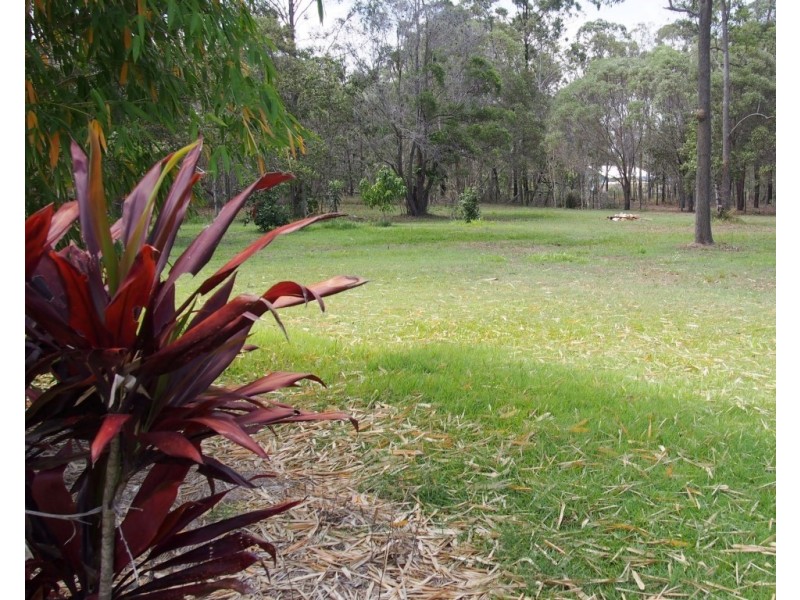 42 Scanlan Street, Sunshine Acres QLD 4655