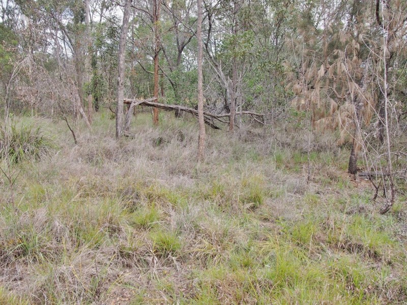 1391 Booral Road, Sunshine Acres QLD 4655