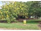 Lot 1 / 56 Spence Street, Point Vernon QLD 4655