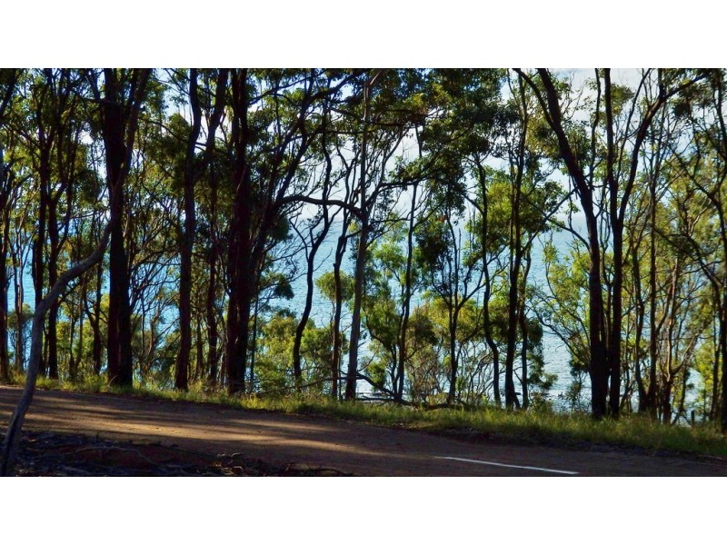 42 Esplanade, Point Vernon QLD 4655