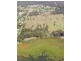 24 Pacific Drive, Booral QLD 4655