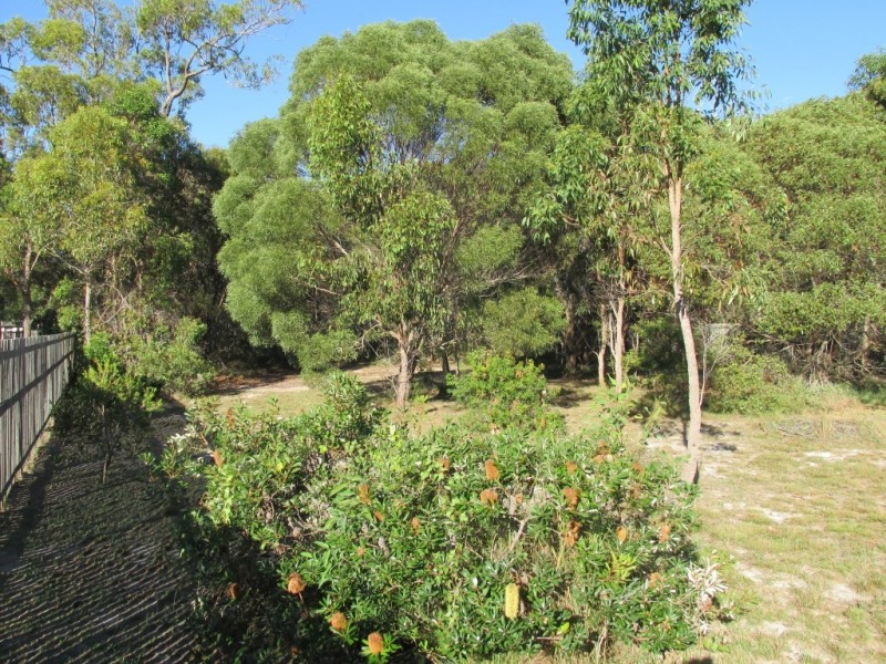 3 Calla Way, Wondunna QLD 4655