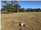 Lot 18 Janine Street, Booral QLD 4655