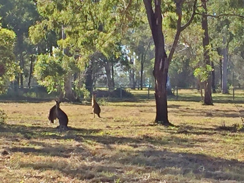 Lot 18 Janine Street, Booral QLD 4655