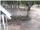 14 Pacific Haven Drive, Howard QLD 4659