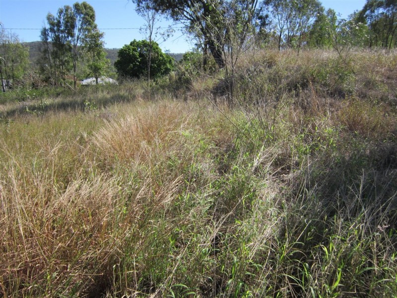 10 Cole Avenue, Baree QLD 4714