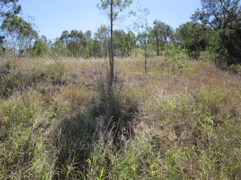 10 Cole Avenue, Baree QLD 4714