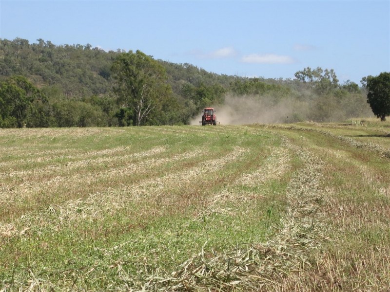 983 “Moonkan Park” Sandy Creek Road, Bushley QLD 4702