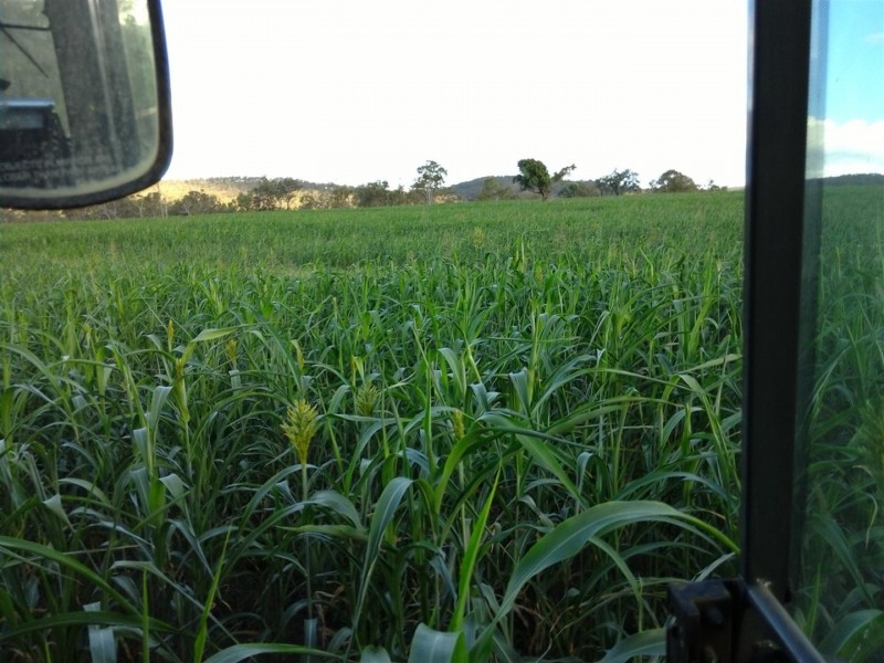 983 “Moonkan Park” Sandy Creek Road, Bushley QLD 4702