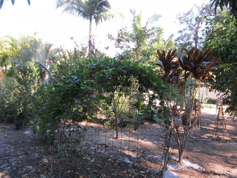 239 Mount Usher Road, Bouldercombe QLD 4702