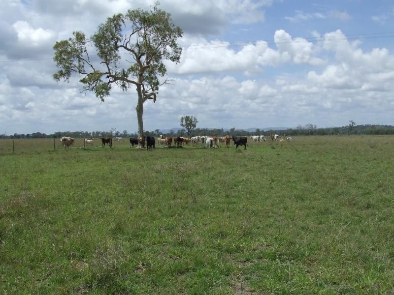 Fairy Bower QLD 4700