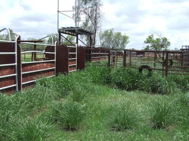 Fairy Bower QLD 4700