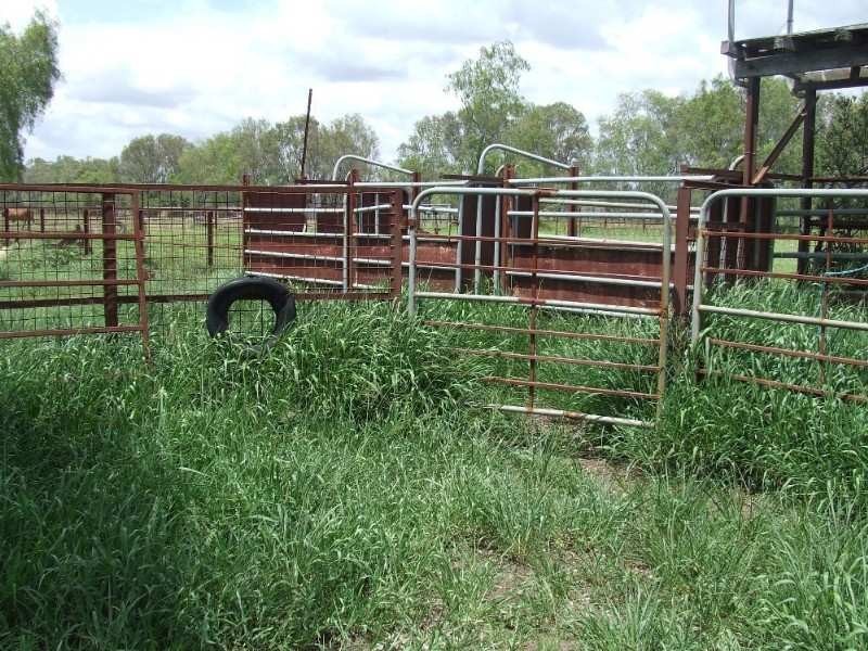 Fairy Bower QLD 4700