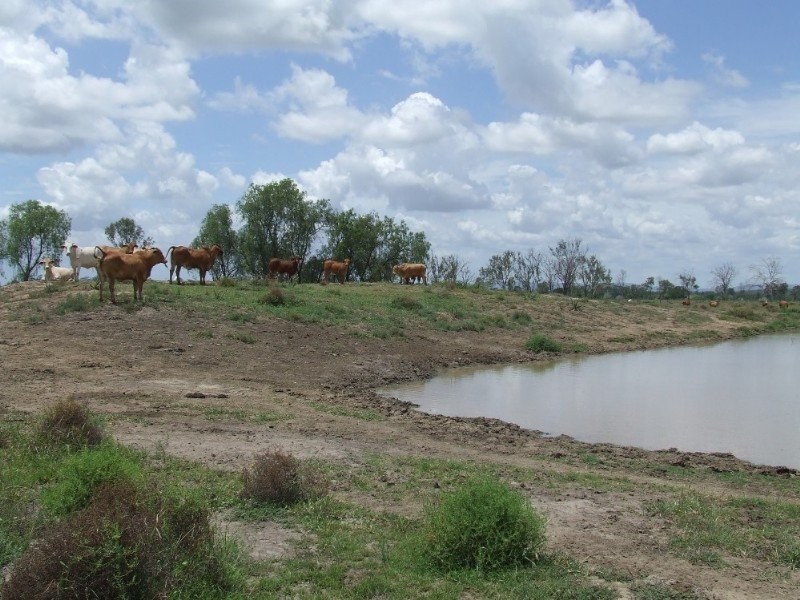 Fairy Bower QLD 4700