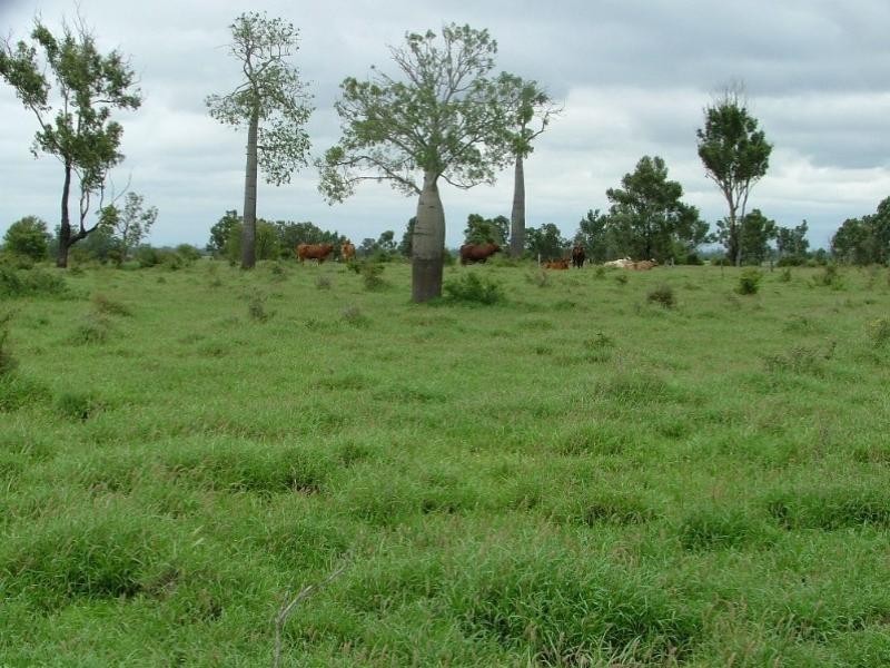 1776 Duaringa Biloela Road, Duaringa QLD 4712