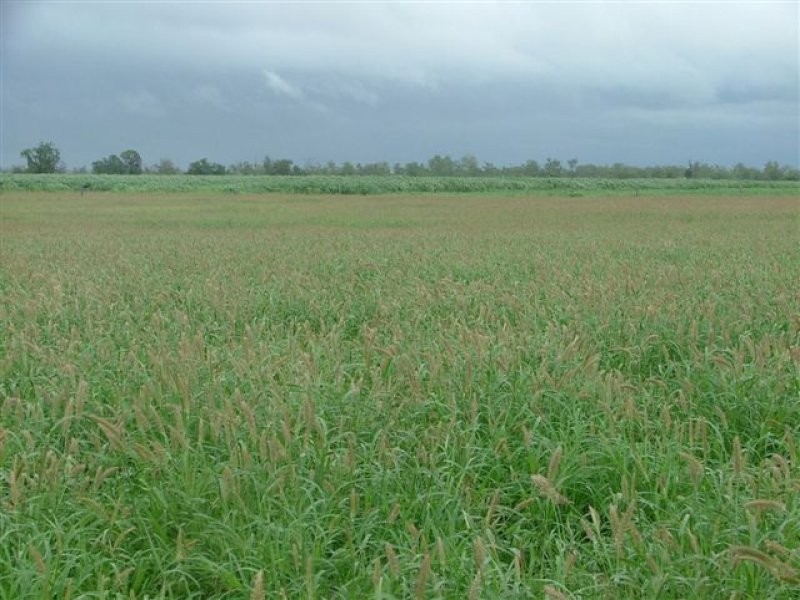 1776 Duaringa Biloela Road, Duaringa QLD 4712