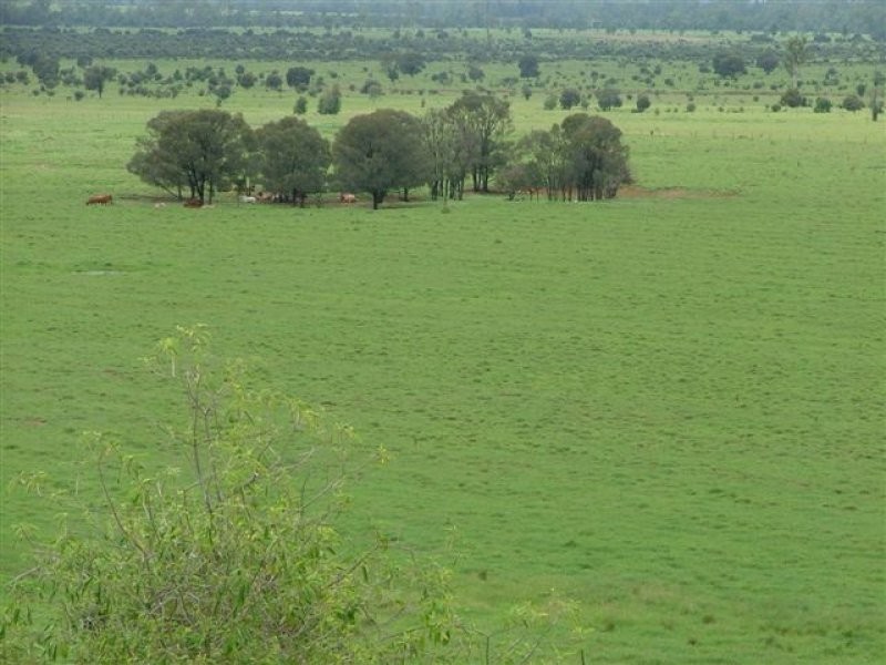 1776 Duaringa Biloela Road, Duaringa QLD 4712