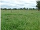1776 Duaringa Biloela Road, Duaringa QLD 4712