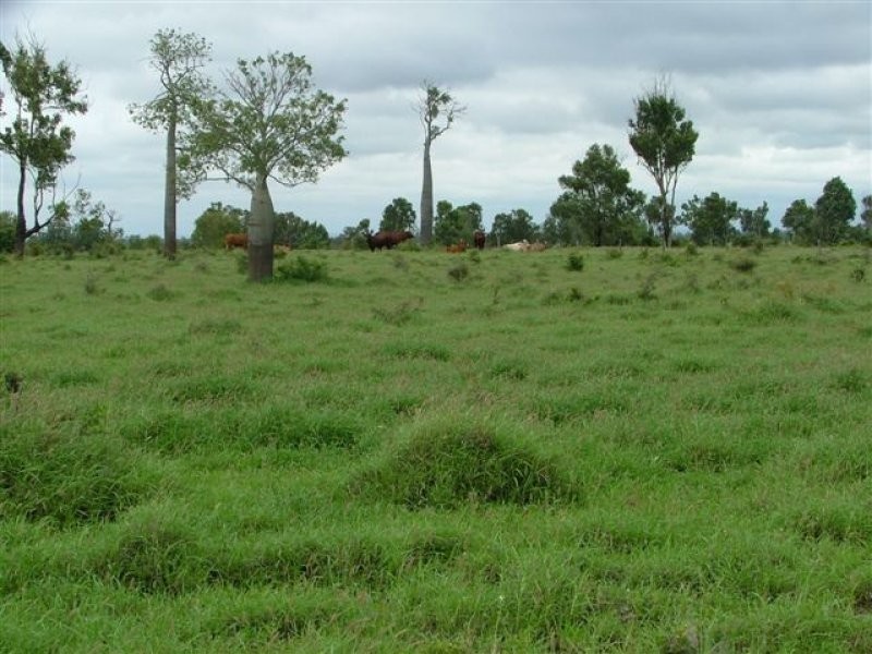 1776 Duaringa Biloela Road, Duaringa QLD 4712