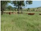 0 Marble Ridges Road, Morinish QLD 4702