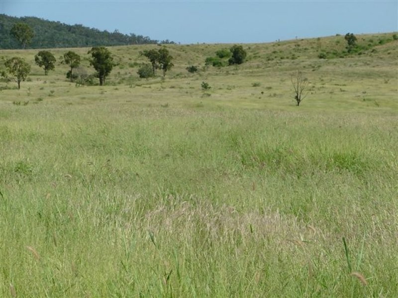 0 Marble Ridges Road, Morinish QLD 4702