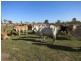 165 Ridgelands Road, Ridgelands QLD 4702