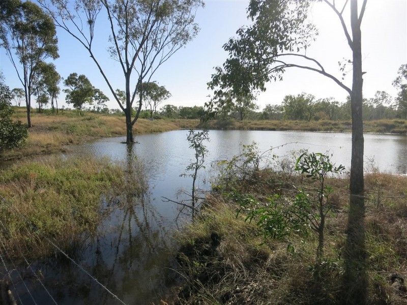 165 Ridgelands Road, Ridgelands QLD 4702