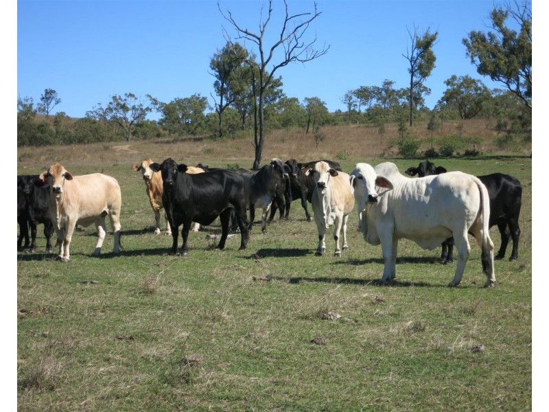 Lot 25 Stanwell-Waroula Road, Dalma QLD 4702