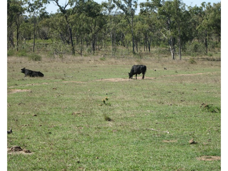 Lot 25 Stanwell-Waroula Road, Dalma QLD 4702