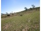 Lot 25 Stanwell-Waroula Road, Dalma QLD 4702