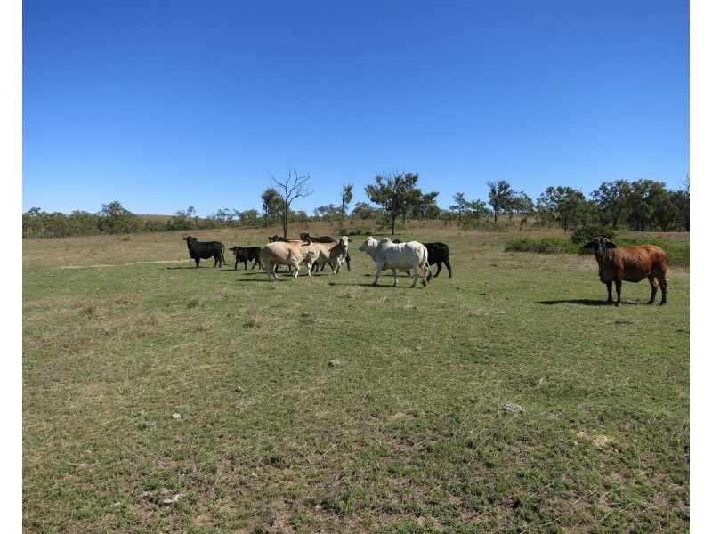 Lot 25 Stanwell-Waroula Road, Dalma QLD 4702
