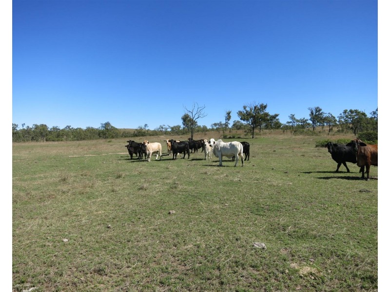 Lot 25 Stanwell-Waroula Road, Dalma QLD 4702