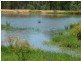 1475 Glendarra Road, Dingo QLD 4702