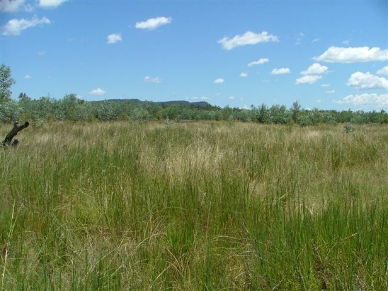 1475 Glendarra Road, Dingo QLD 4702