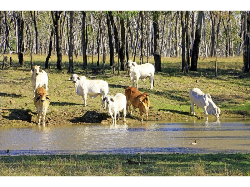 4271 ‘Huxham’ Capricorn Highway, Westwood QLD 4702